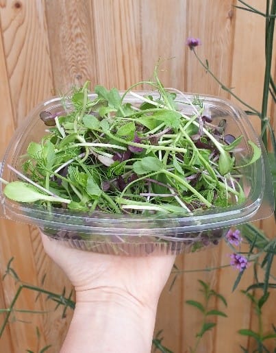 Nell’s Urban Greens