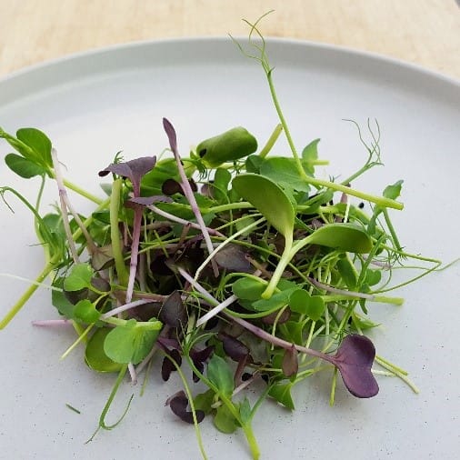 Nell’s Urban Greens