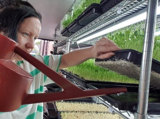 Nell’s Urban Greens